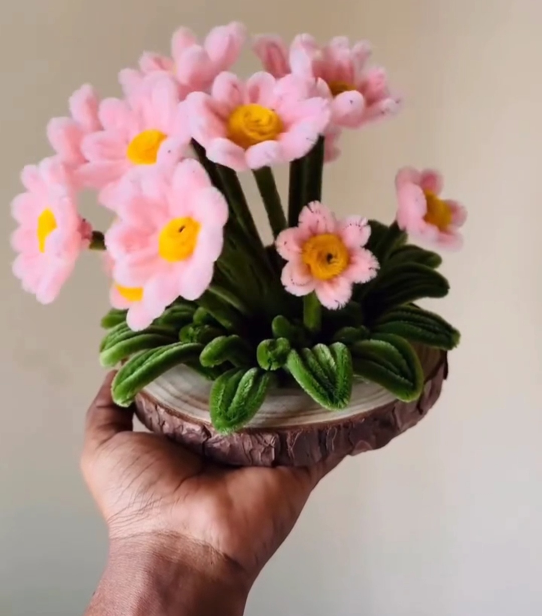 dancing daisy flowers